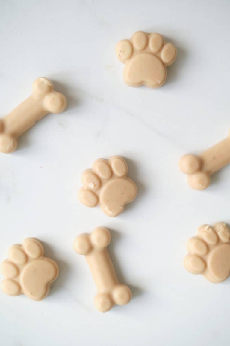 Healthy frozen peanut butter kefir dog treats It's A Vizsla