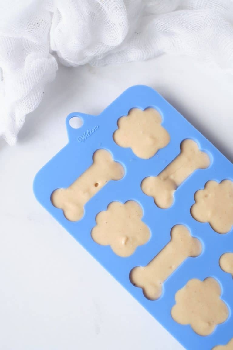 Healthy frozen peanut butter kefir dog treats It's A Vizsla