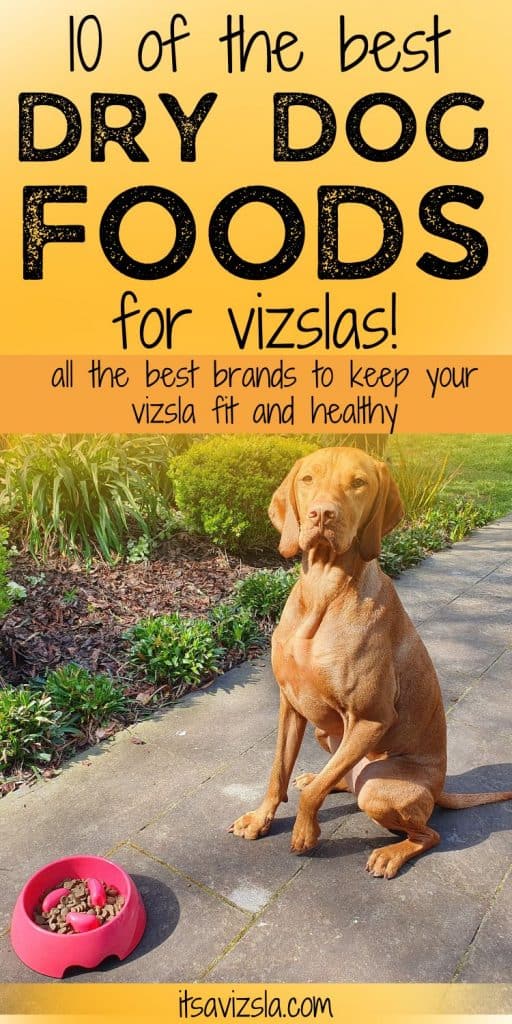 The Best Dog Food For Vizslas 2023 [For Young And Old] It's A Vizsla