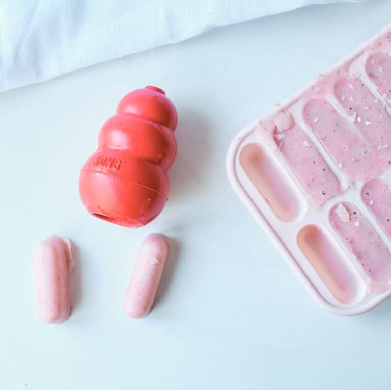 Photo inspiration: Does Dog Metabolize Dried Strawberry Supplements Reference: Easy Frozen Strawberry Banana Dog Treats