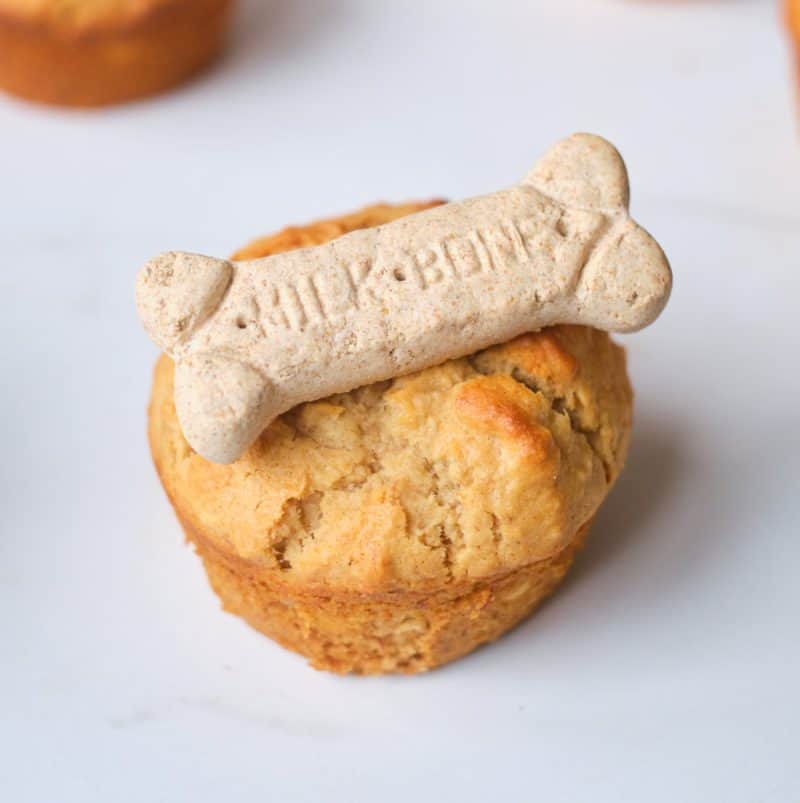 The Best Toys For Vizsla Puppies [2022 Reviews] It's A Vizsla!