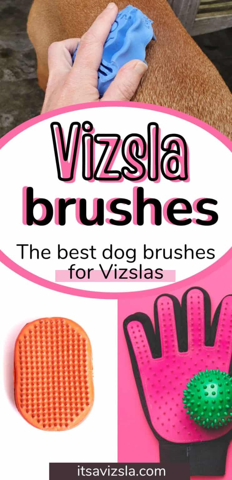 The Best Brush For Vizsla Dogs [2024 Reviews] It's A Vizsla