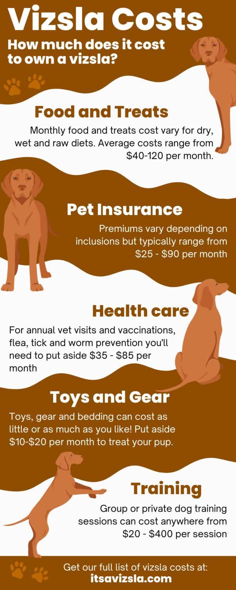 How Much Does A Vizsla Cost? [2024 Price Guide] It's A Vizsla