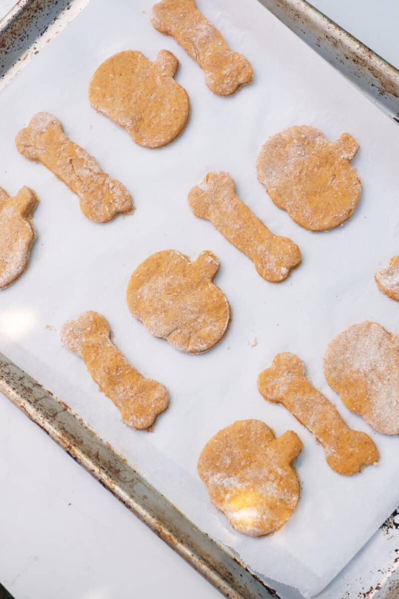 Easy Homemade Halloween Dog Treats It's A Vizsla