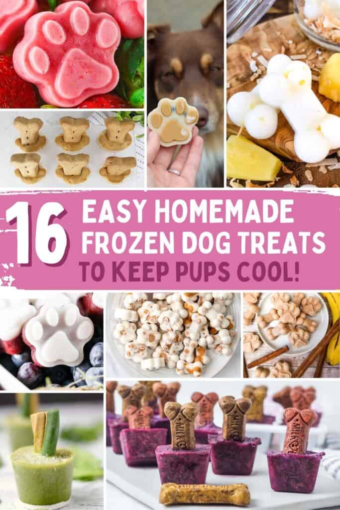 16 Frozen Dog Treats Recipes To Keep Your Pup Cool This Summer It's A