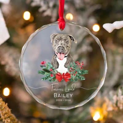 acrylic dog memorial ornament.